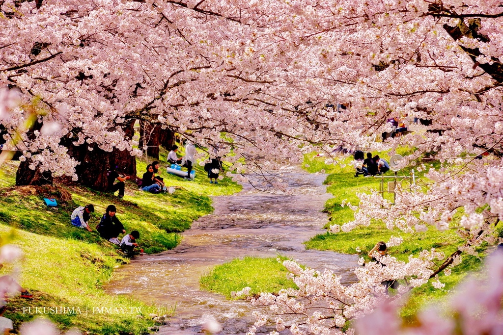 福島 | 春天來了 ! 綿延河畔兩旁的櫻花並木、享受漫步其中的浪漫時光 | 豬苗代町 觀音寺川 @偽日本人May．食遊玩樂