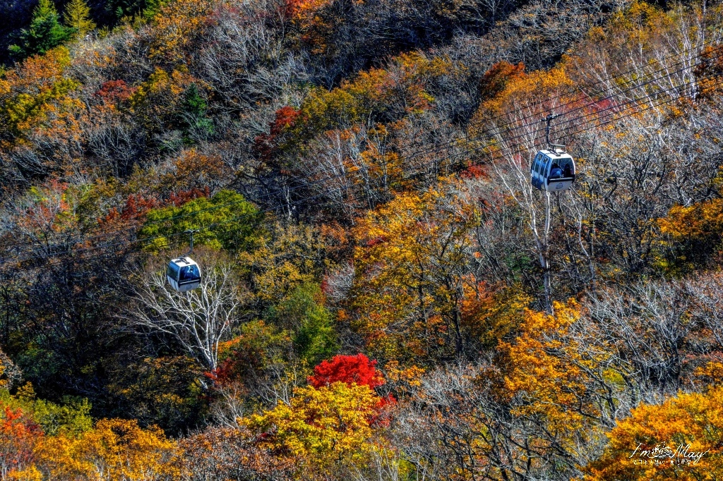 福島、二本松 | 搭乘纜車輕鬆登山趣、日本百名山「安達太良山」| 秋季追紅葉、冬季滑雪樂 ( 福島自駕行程景點 ) @偽日本人May．食遊玩樂