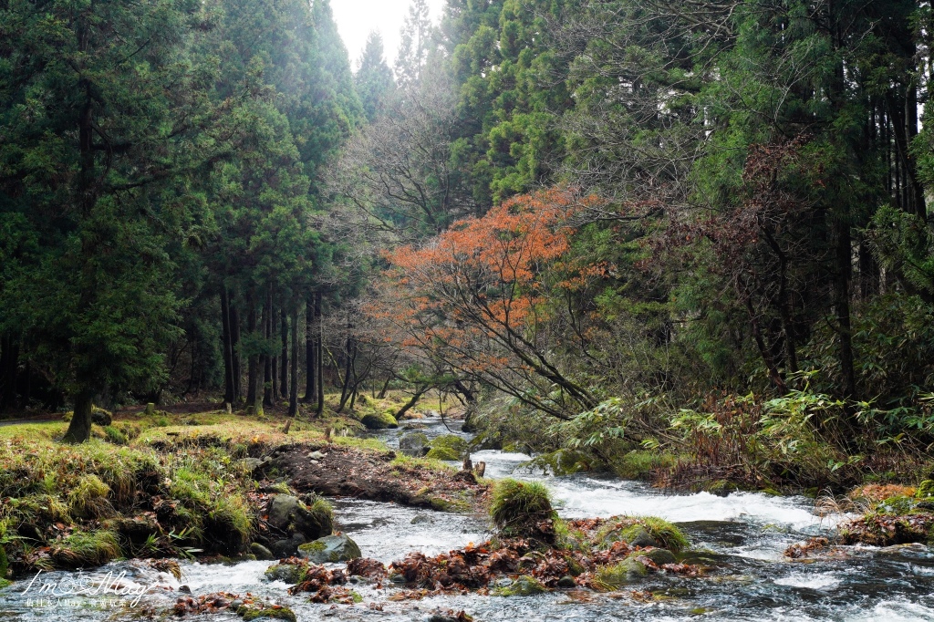 日本絕景攝影 | 森林裡的夢幻祕境、經歷數十年累積的湧泉瀑布群「元滝伏流水」| 秋田攝影景點、鳥海山地質公園、象潟地區自然景觀、拍攝建議、交通方式詳解 @偽日本人May．食遊玩樂