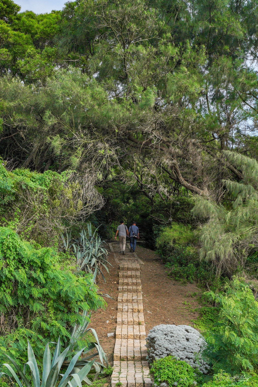 馬祖、南竿 | 踏進軍事觀光景點，體驗不一樣的馬祖風光 | 搭著搖櫓看藍眼淚、鬼斧神工的「北海坑道」，讓你秒回民國六十年、緊扼海疆的「大漢據點」 @偽日本人May．食遊玩樂