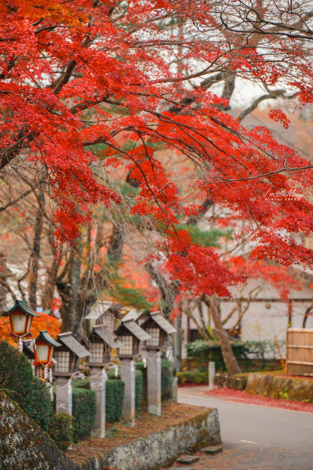 福島旅攝記錄 | 新白河 : 南湖神社、南湖公園、翠樂苑。褪去華麗豔色，深秋的畫面依舊讓人喜歡極了 @偽日本人May．食遊玩樂