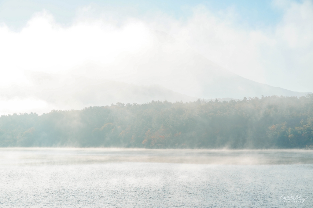 山梨、富士五湖 | 在晨霧繚繞的西湖場根濱，看到害羞露臉的富士山，遇見最美的愛情 (河口湖自駕一日遊景點推薦) @偽日本人May．食遊玩樂