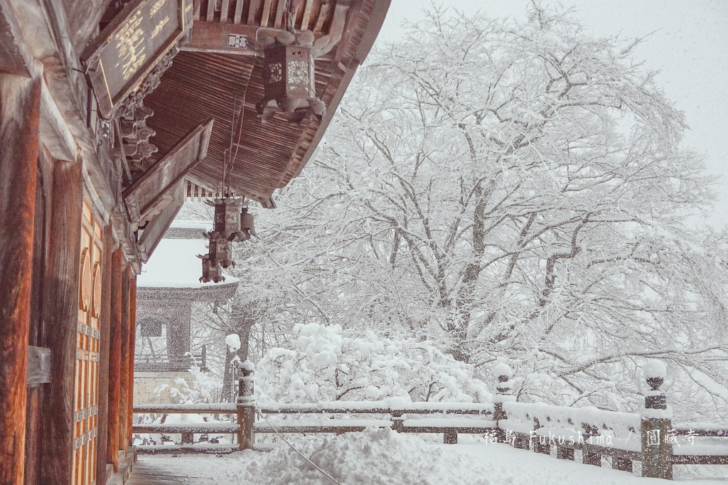 大分 | 宇佐神宮（うさじんぐう）。 日本最古老的神社 x 全國4萬4千座八幡宮之總本宮 @偽日本人May．食遊玩樂