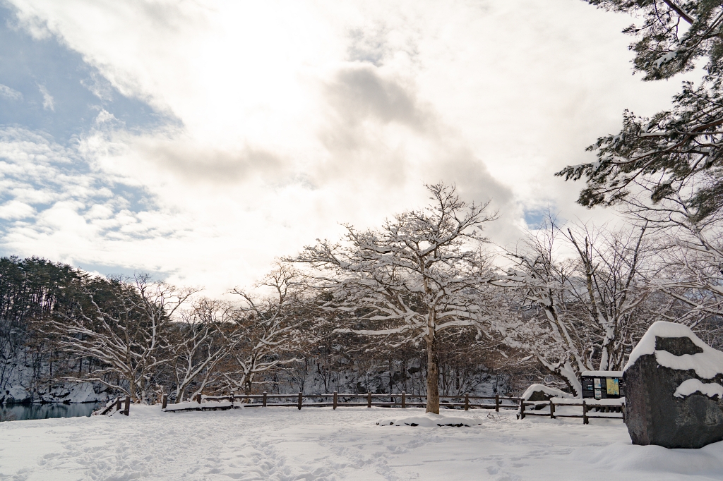 福島攝影記錄 | 在雪封的國度，踏入白雪覆蓋的五色沼，獨享空氣裡的寂靜，盡賞碧綠湖色的自然景致 @偽日本人May．食遊玩樂