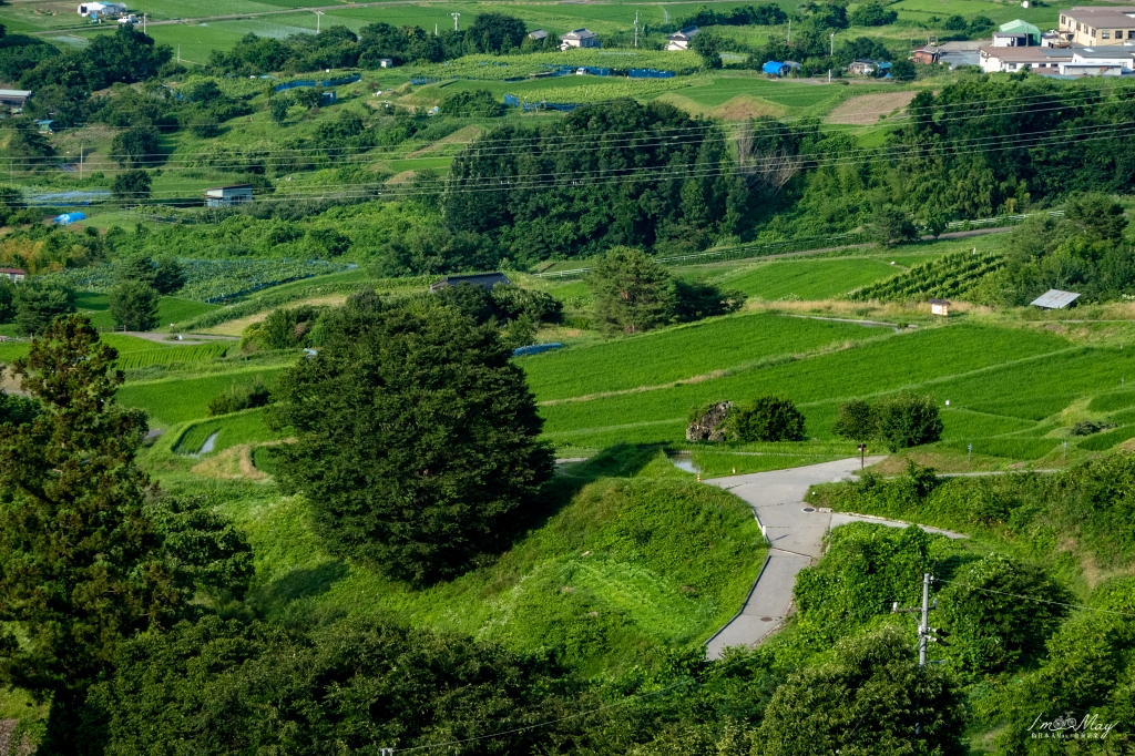 日本鐵道旅行 | 日本三大車窗景觀、自然夜景遺產、梯田百選 : 姨捨車站（おばすて駅）| JR東日本特色車站 @偽日本人May．食遊玩樂