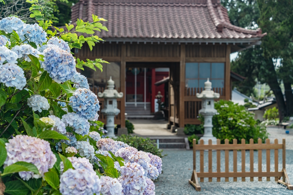 福島、磐城 | 波立海岸的絕美風景 : 自然與歷史共存「波立寺」、觀看初日昇起的著名景點「弁天島」 @偽日本人May．食遊玩樂