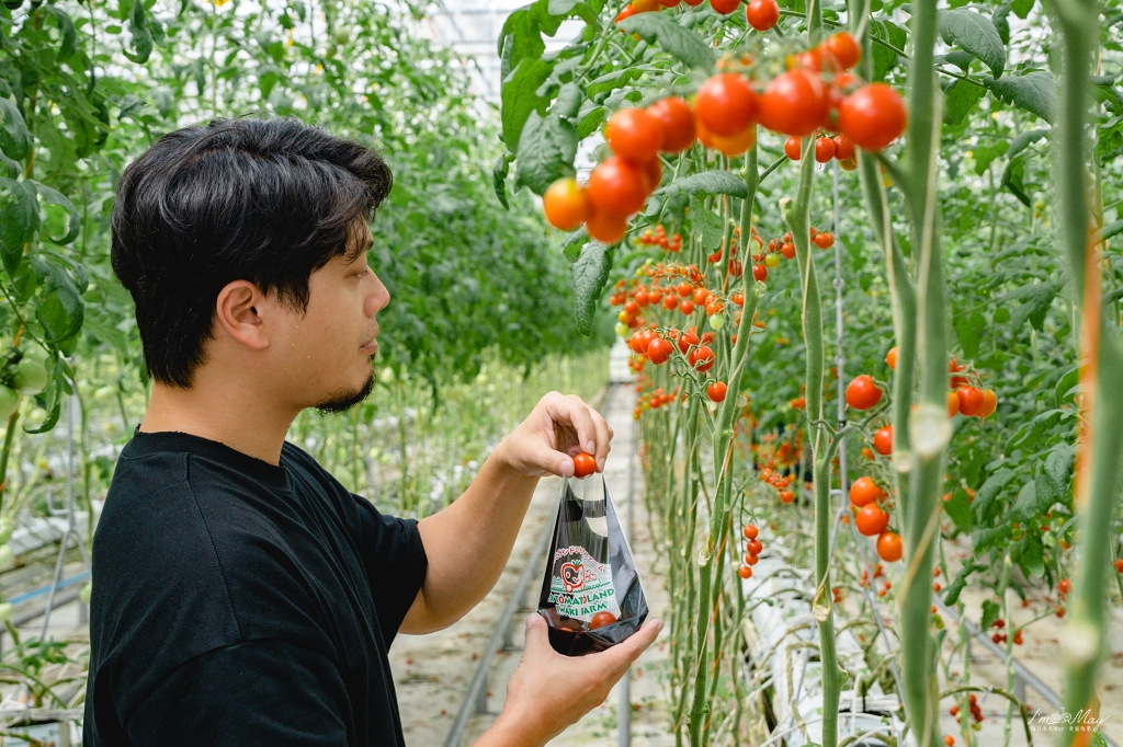 福島、磐城 | 在番茄主題樂園Wonder Farm採摘番茄，體驗產地即美味的道理。品嘗多彩菜色、享受燒烤樂趣，根本是蔬果控的天堂啊 @偽日本人May．食遊玩樂