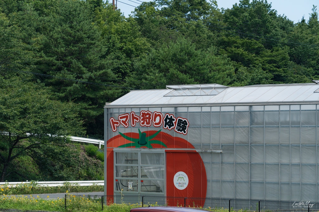 福島、磐城 | 在番茄主題樂園Wonder Farm採摘番茄，體驗產地即美味的道理。品嘗多彩菜色、享受燒烤樂趣，根本是蔬果控的天堂啊 @偽日本人May．食遊玩樂