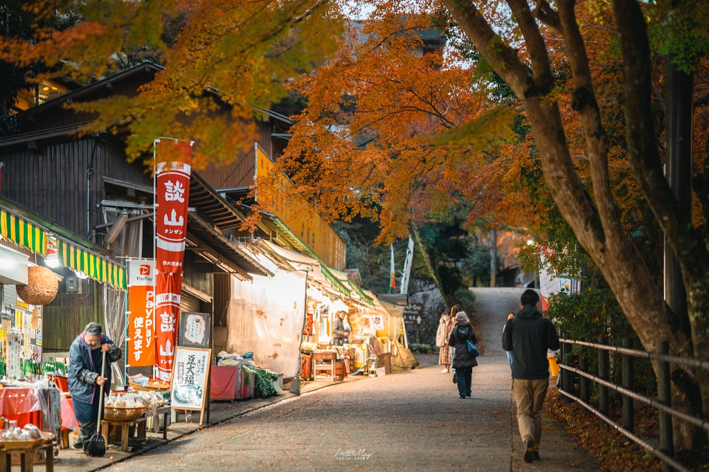 關西攝影記錄 | 幽燈靜夜：探尋奈良談山神社夜間點燈的秋夜微光與靜謐詩意 @偽日本人May．食遊玩樂