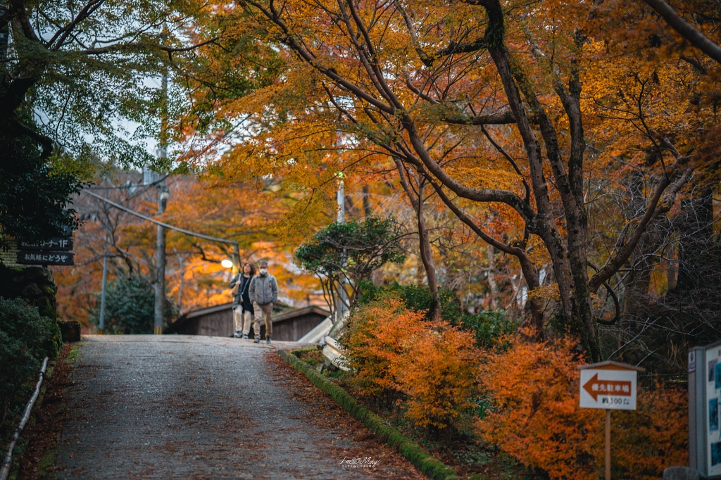 關西攝影記錄 | 幽燈靜夜：探尋奈良談山神社夜間點燈的秋夜微光與靜謐詩意 @偽日本人May．食遊玩樂