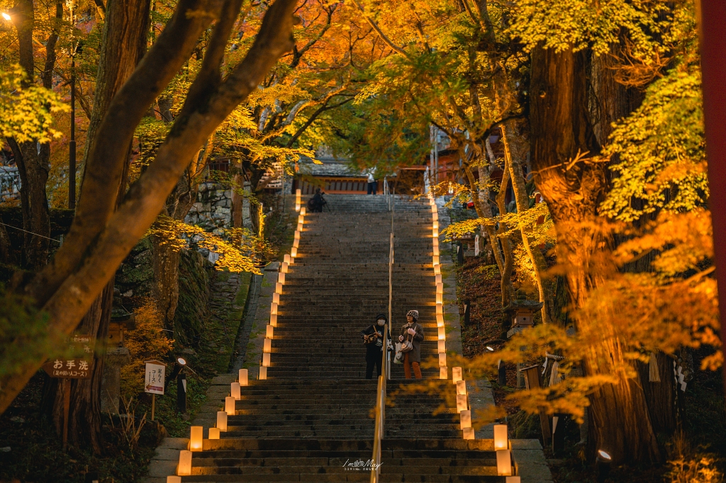 關西攝影記錄 | 幽燈靜夜：探尋奈良談山神社夜間點燈的秋夜微光與靜謐詩意 @偽日本人May．食遊玩樂