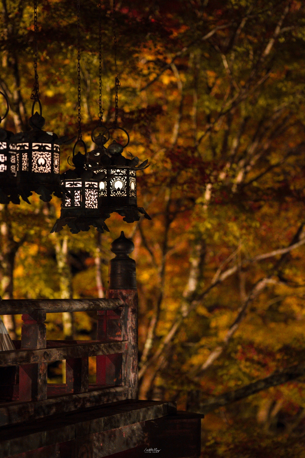 關西攝影記錄 | 幽燈靜夜：探尋奈良談山神社夜間點燈的秋夜微光與靜謐詩意 @偽日本人May．食遊玩樂