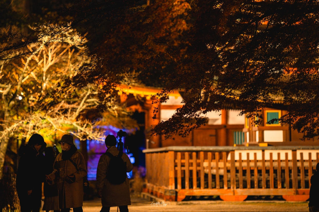 關西攝影記錄 | 幽燈靜夜：探尋奈良談山神社夜間點燈的秋夜微光與靜謐詩意 @偽日本人May．食遊玩樂