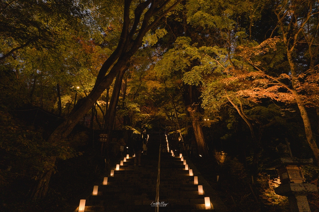 關西攝影記錄 | 幽燈靜夜：探尋奈良談山神社夜間點燈的秋夜微光與靜謐詩意 @偽日本人May．食遊玩樂