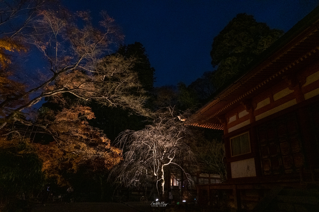 關西攝影記錄 | 幽燈靜夜：探尋奈良談山神社夜間點燈的秋夜微光與靜謐詩意 @偽日本人May．食遊玩樂