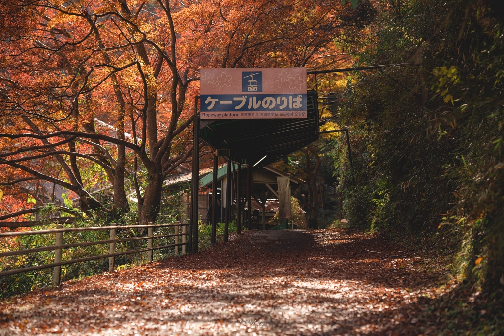 奈良美食推薦 | 傳承百年的吉野山風味體驗 : 柿の葉壽司 やっこ，品味柿葉壽司的經典魅力 @偽日本人May．食遊玩樂