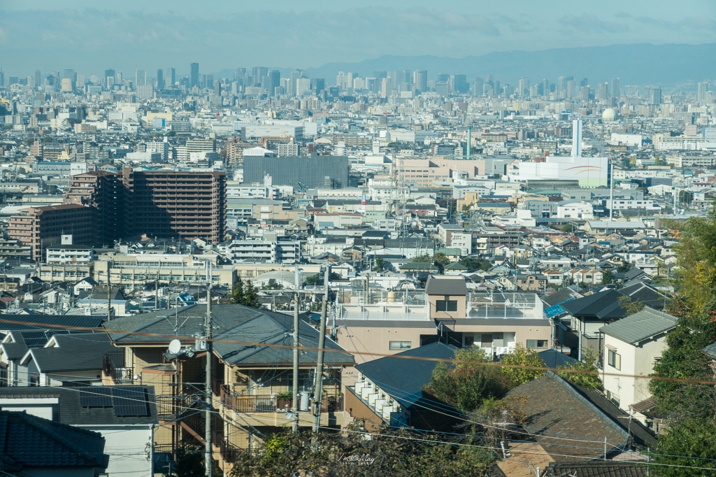 關西鐵道旅行 | 乘坐「近鐵觀光特急 AONIYOSHI 青丹吉」，沉浸低調奢華氛圍，悠遊奈良古都風光之旅 @偽日本人May．食遊玩樂