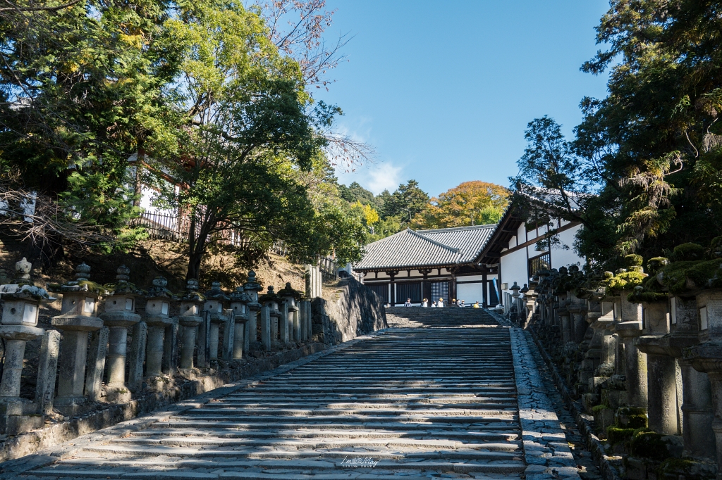 關西攝影記錄 | 奈良二月堂的歷史印記，捕捉秋光之中的古寺風景與自然完美融合的光影交錯 @偽日本人May．食遊玩樂