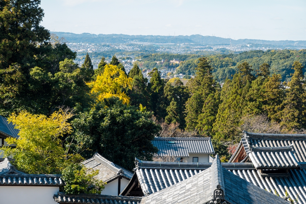 關西攝影記錄 | 奈良二月堂的歷史印記，捕捉秋光之中的古寺風景與自然完美融合的光影交錯 @偽日本人May．食遊玩樂