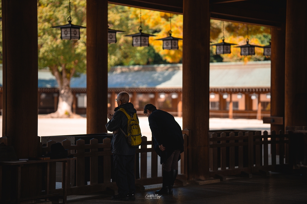 關西攝影記錄 | 秋色交織的神聖殿堂：鏡頭下橿原神宮的紅葉美景與光影交錯的季節變遷之美 @偽日本人May．食遊玩樂