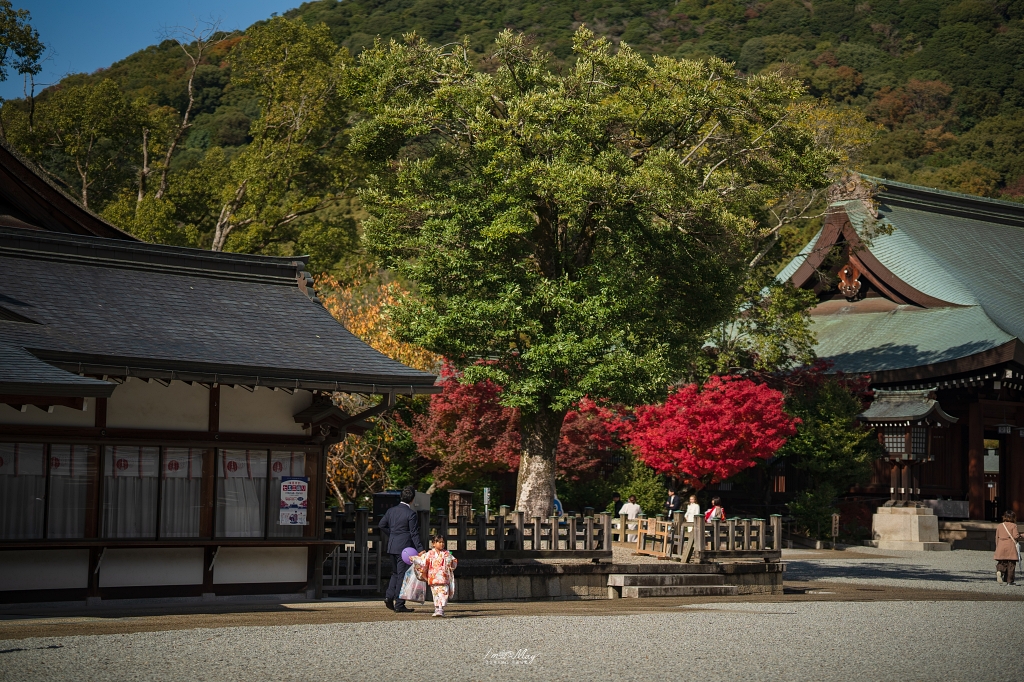 關西攝影記錄 | 秋色交織的神聖殿堂：鏡頭下橿原神宮的紅葉美景與光影交錯的季節變遷之美 @偽日本人May．食遊玩樂