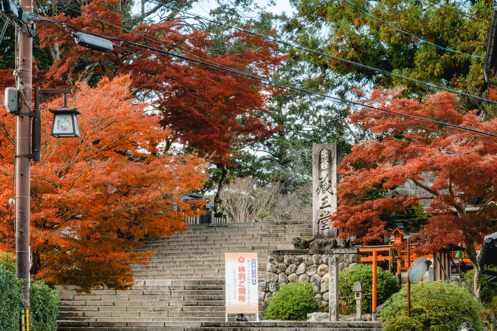 奈良美食推薦 | 傳承百年的吉野山風味體驗 : 柿の葉壽司 やっこ，品味柿葉壽司的經典魅力 @偽日本人May．食遊玩樂