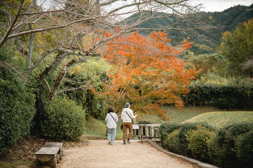 關西深度旅行 | 奈良飛鳥地區 : 充滿古代浪漫氣息「石舞臺古墳」探索日本飛鳥時代的歷史遺跡 @偽日本人May．食遊玩樂