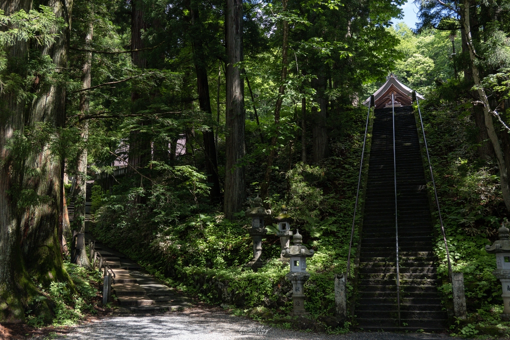 夏天走進日本深山神域！【長野戶隱神社五社巡禮】夏季一日順走實錄｜奧社杉林美景、御朱印帳推薦、交通與步行時間分享！輕鬆走法不藏私 @偽日本人May．食遊玩樂