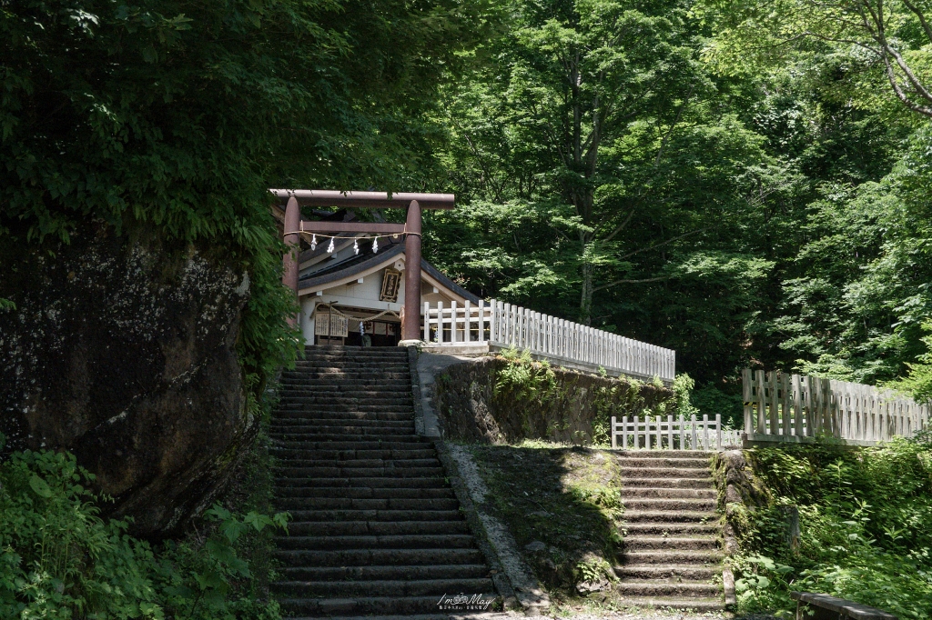 夏天走進日本深山神域！【長野戶隱神社五社巡禮】夏季一日順走實錄｜奧社杉林美景、御朱印帳推薦、交通與步行時間分享！輕鬆走法不藏私 @偽日本人May．食遊玩樂