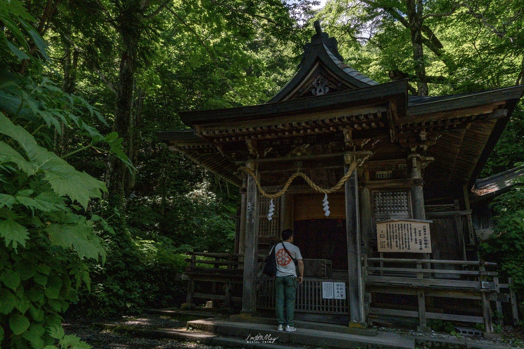 夏天走進日本深山神域！【長野戶隱神社五社巡禮】夏季一日順走實錄｜奧社杉林美景、御朱印帳推薦、交通與步行時間分享！輕鬆走法不藏私 @偽日本人May．食遊玩樂
