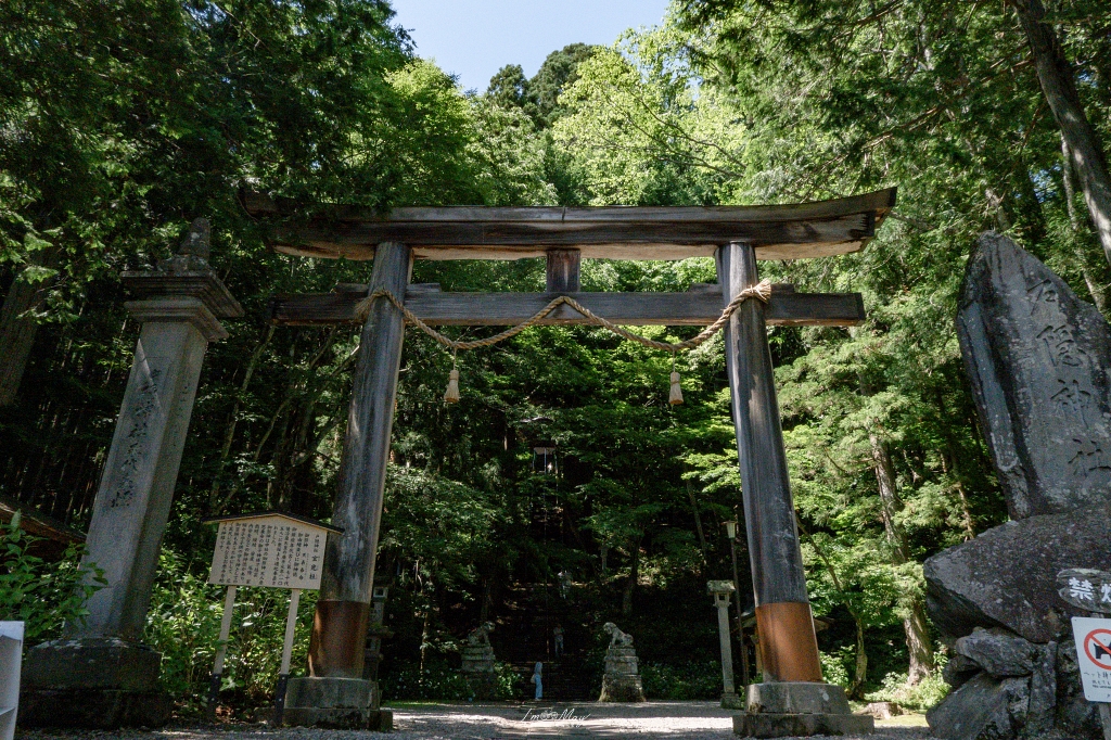 夏天走進日本深山神域！【長野戶隱神社五社巡禮】夏季一日順走實錄｜奧社杉林美景、御朱印帳推薦、交通與步行時間分享！輕鬆走法不藏私 @偽日本人May．食遊玩樂