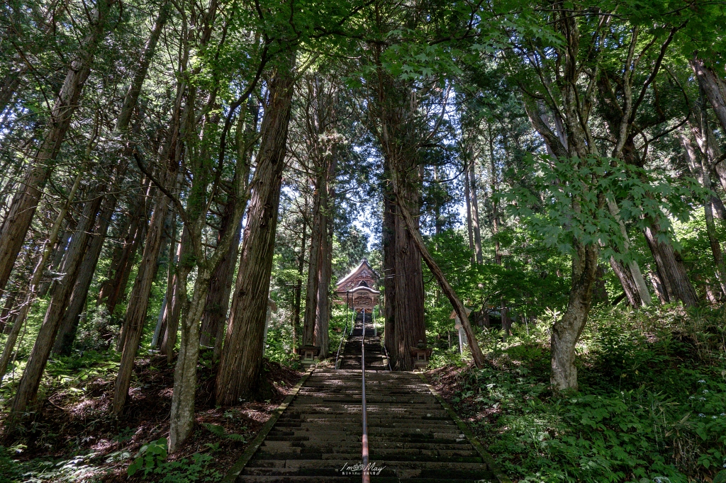 夏天走進日本深山神域！【長野戶隱神社五社巡禮】夏季一日順走實錄｜奧社杉林美景、御朱印帳推薦、交通與步行時間分享！輕鬆走法不藏私 @偽日本人May．食遊玩樂