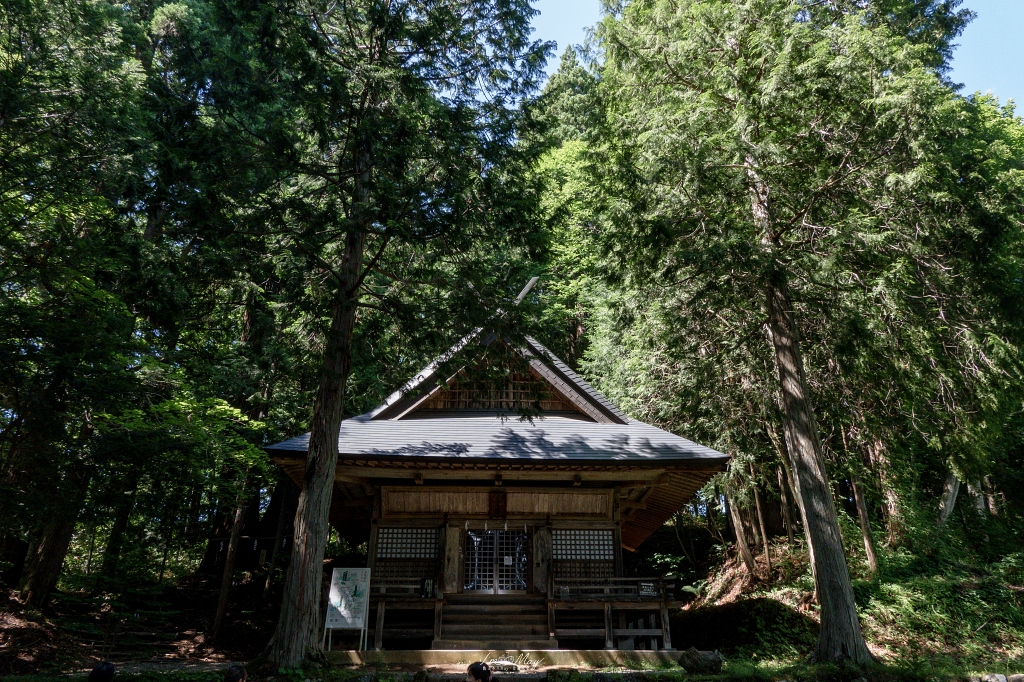 夏天走進日本深山神域！【長野戶隱神社五社巡禮】夏季一日順走實錄｜奧社杉林美景、御朱印帳推薦、交通與步行時間分享！輕鬆走法不藏私 @偽日本人May．食遊玩樂