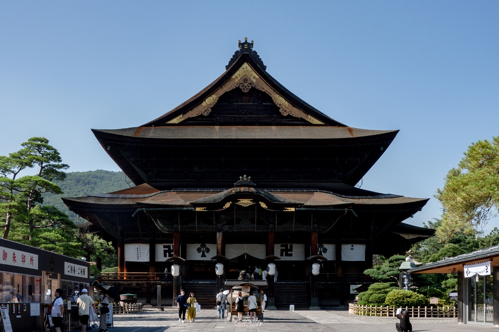 夏天走進日本深山神域！【長野戶隱神社五社巡禮】夏季一日順走實錄｜奧社杉林美景、御朱印帳推薦、交通與步行時間分享！輕鬆走法不藏私 @偽日本人May．食遊玩樂
