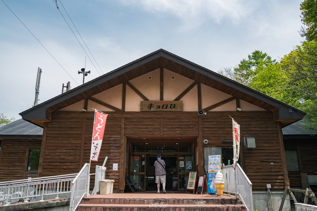 青森攝影記錄 | 白神山地十二湖慢行記 : 雞頭場之池、青池、沸壺之池，用腳步記錄森林裡的藍與光影 @偽日本人May．食遊玩樂