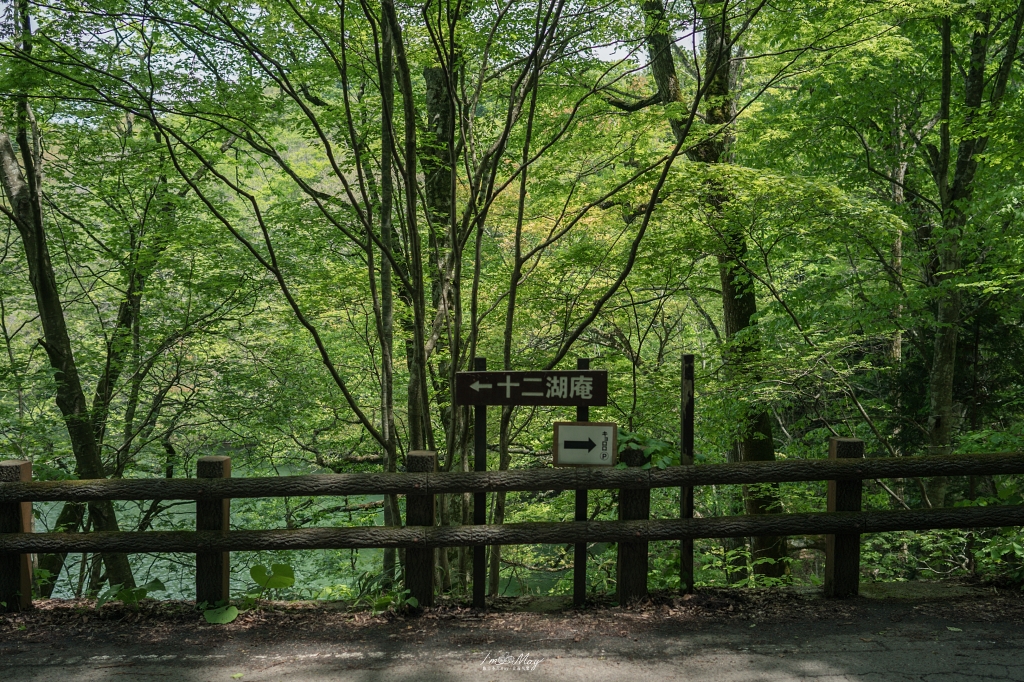 青森攝影記錄 | 白神山地十二湖慢行記 : 雞頭場之池、青池、沸壺之池，用腳步記錄森林裡的藍與光影 @偽日本人May．食遊玩樂