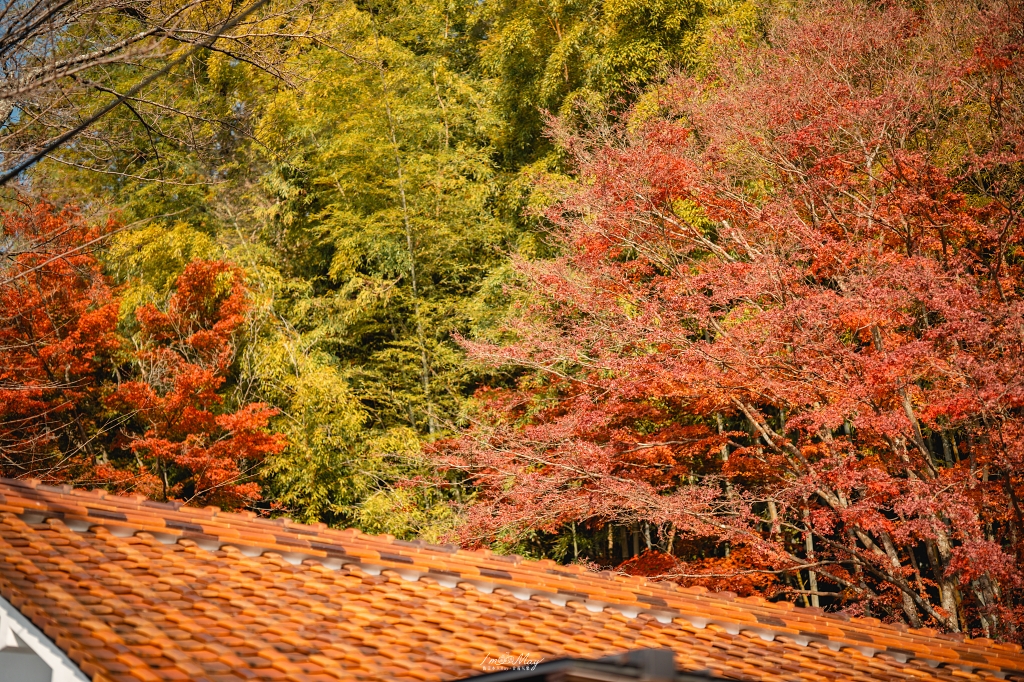 岡山攝影記錄 | 吹屋景點散策 : 一場紅色晨光裡的攝影散策，紅磚街道、百年小學與山中神社的光影旅程 @偽日本人May．食遊玩樂