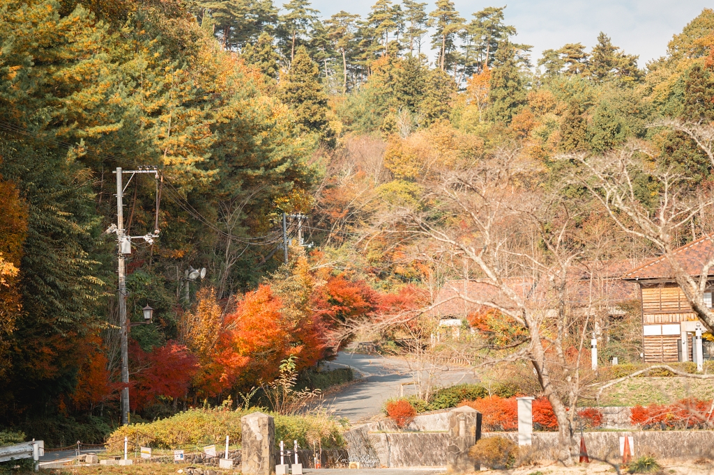 岡山攝影記錄 | 吹屋景點散策 : 一場紅色晨光裡的攝影散策，紅磚街道、百年小學與山中神社的光影旅程 @偽日本人May．食遊玩樂