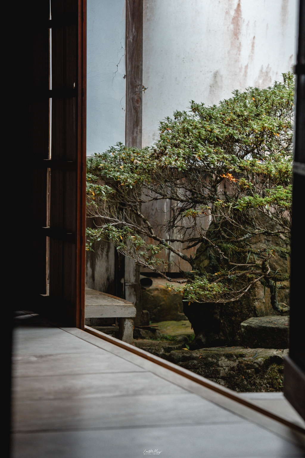 岡山攝影記錄 | 吹屋景點散策 : 一場紅色晨光裡的攝影散策，紅磚街道、百年小學與山中神社的光影旅程 @偽日本人May．食遊玩樂