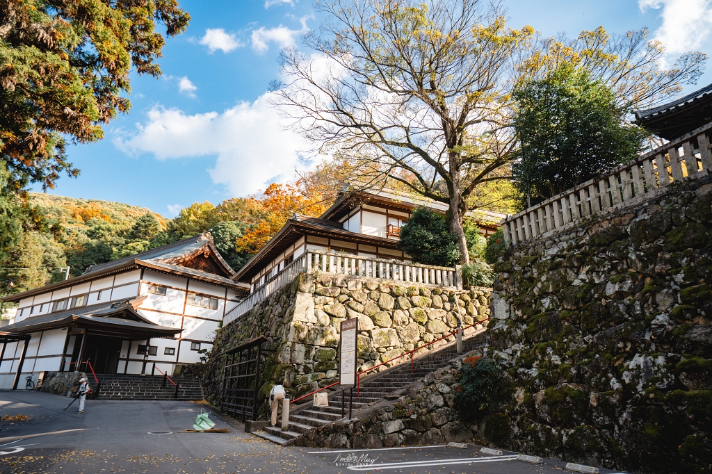 岡山攝影記錄｜吉備津神社秋日銀杏散策：金黃落葉、靜謐迴廊與一場溫柔的人情邂逅 @偽日本人May．食遊玩樂