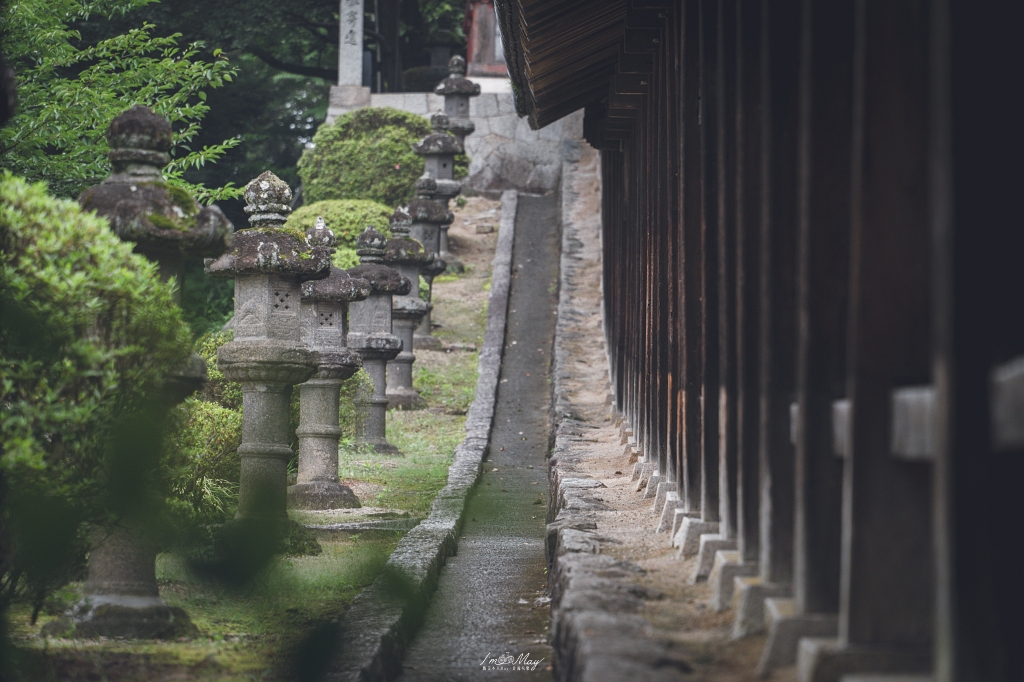 岡山攝影記錄｜吉備津神社秋日銀杏散策：金黃落葉、靜謐迴廊與一場溫柔的人情邂逅 @偽日本人May．食遊玩樂