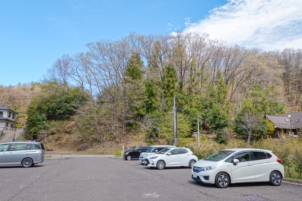 【福島茶屋沼公園櫻花】誤闖池畔祕境的賞櫻旅程｜私房拍照景點不藏私分享 @偽日本人May．食遊玩樂