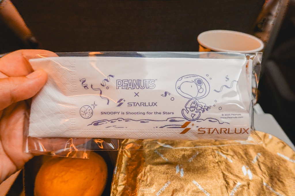 飛行記錄｜星宇航空 STARLUX 台北－吉隆坡 A321neo 經濟艙體驗＋機上餐點與 KLIA 自動通關實測 @偽日本人May．食遊玩樂