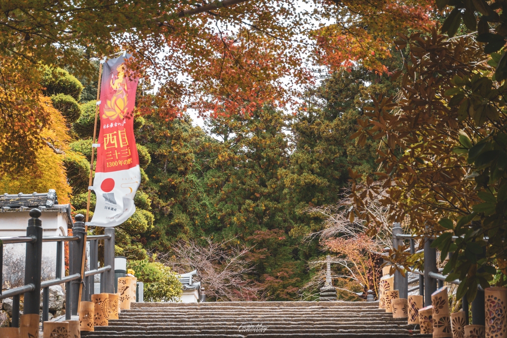 秋季奈良自由行｜單車騎行紅葉名所與攝影散策一日路線：探訪千年古剎岡寺、感受靜謐秋色與楓紅環繞的日式風情 @偽日本人May．食遊玩樂