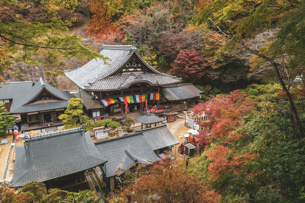 秋季奈良自由行｜單車騎行紅葉名所與攝影散策一日路線：探訪千年古剎岡寺、感受靜謐秋色與楓紅環繞的日式風情 @偽日本人May．食遊玩樂