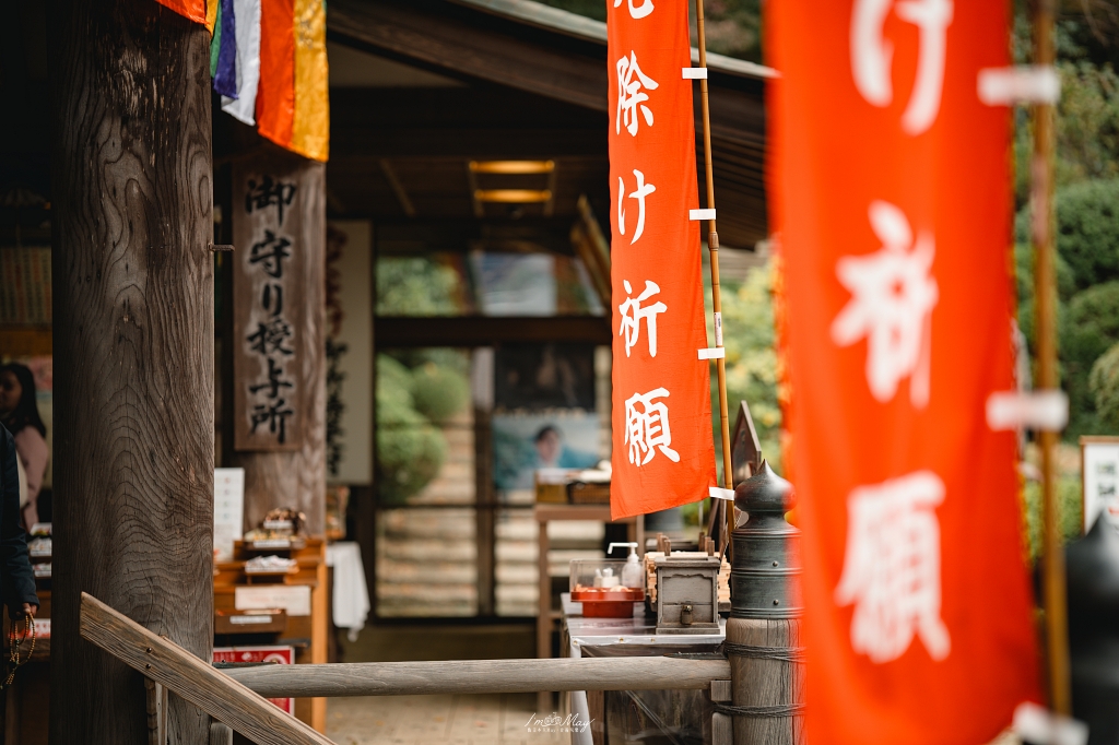 秋季奈良自由行｜單車騎行紅葉名所與攝影散策一日路線：探訪千年古剎岡寺、感受靜謐秋色與楓紅環繞的日式風情 @偽日本人May．食遊玩樂