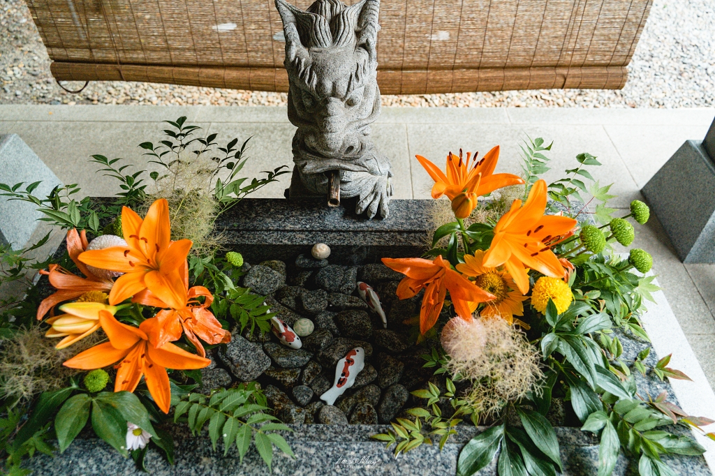 【福島攝影記錄】郡山滑川神社風鈴 × 豐景神社紫陽花花手水｜六月夏詣祈願×自駕景點推薦 @偽日本人May．食遊玩樂