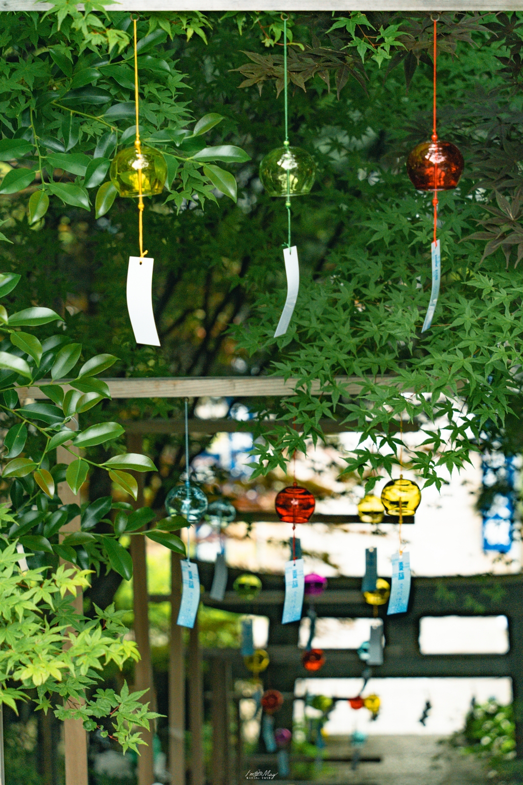 【福島攝影記錄】郡山滑川神社風鈴 × 豐景神社紫陽花花手水｜六月夏詣祈願×自駕景點推薦 @偽日本人May．食遊玩樂