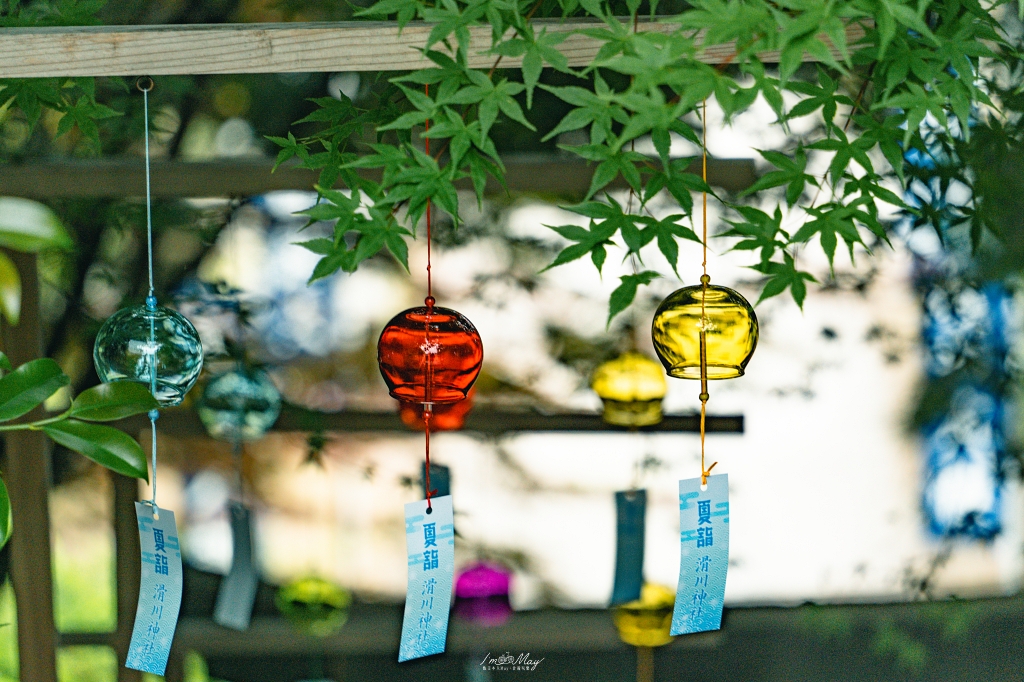 【福島攝影記錄】郡山滑川神社風鈴 × 豐景神社紫陽花花手水｜六月夏詣祈願×自駕景點推薦 @偽日本人May．食遊玩樂