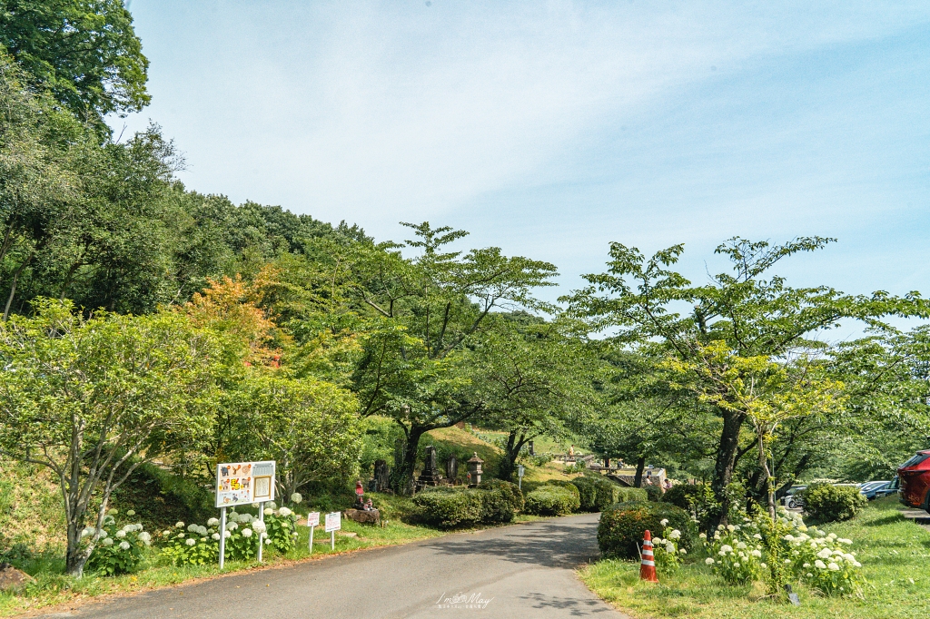 福島攝影記錄｜陽林寺紫陽花季：5,000 株繡球花圍繞的山寺，拍下初夏最靜謐的色彩 @偽日本人May．食遊玩樂